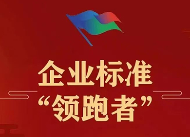 喜訊丨普理司榮獲兩項2023年企業(yè)標(biāo)準“領(lǐng)跑者”認證